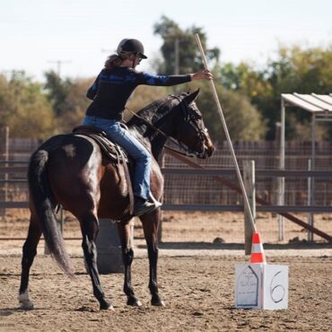 Horse Riding in Rancho Cordova California