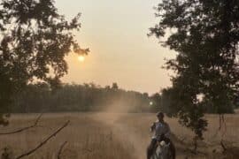 Horse Riding in Redding California