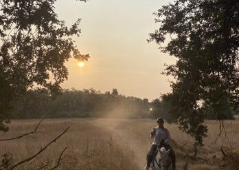 Horse Riding in Redding California