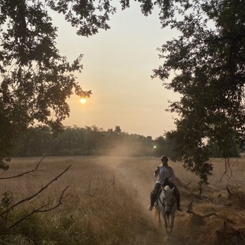 Horse Riding in Redding California