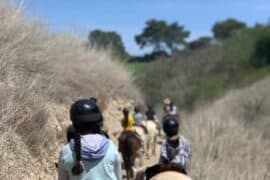 Horse Riding in Redondo Beach California