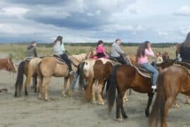 Horse Riding in Renton Washington