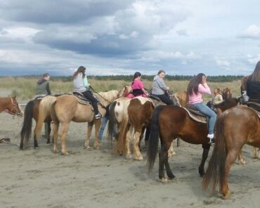 Horse Riding in Renton Washington