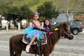 Horse Riding in Rialto California