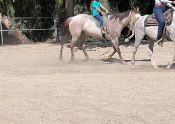 Horse Riding in Riverside California