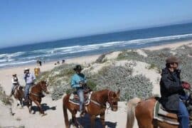 Horse Riding in Salinas California