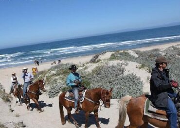 Horse Riding in Salinas California