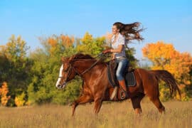 Horse Riding in Sammamish Washington