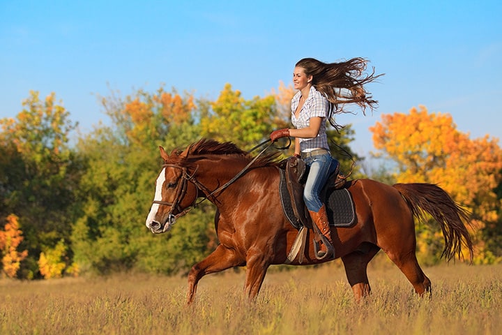 Horse Riding in Sammamish Washington