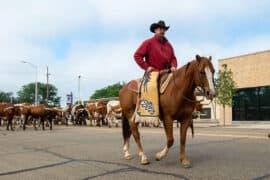 Horse Riding in San Angelo Texas