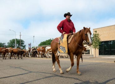 Horse Riding in San Angelo Texas