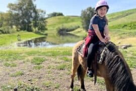 Horse Riding in San Jose California