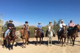 Horse Riding in San Tan Valley Arizona