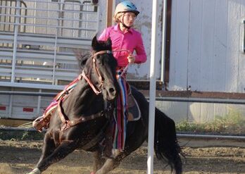 Horse Riding in Santa Clarita California