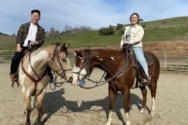 Horse Riding in Santa Rosa California