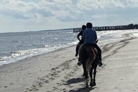 Horse Riding in Savannah Georgia