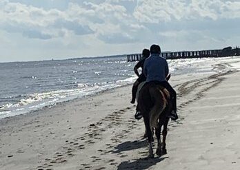 Horse Riding in Savannah Georgia