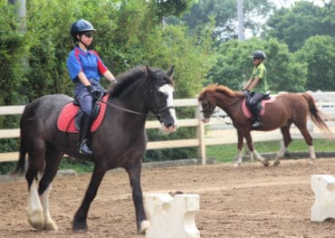 Horse Riding in Sham Shui Po Kowloon