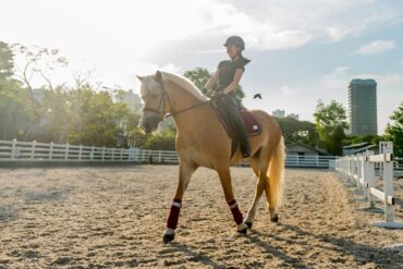 Horse Riding in Singpore