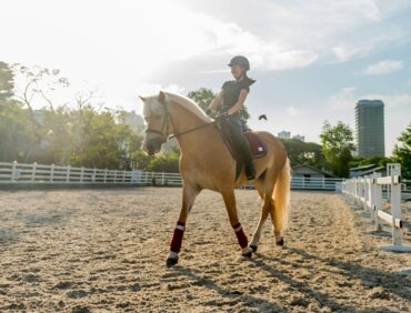 Horse Riding in Singpore