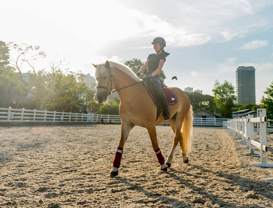 Horse Riding in Singpore