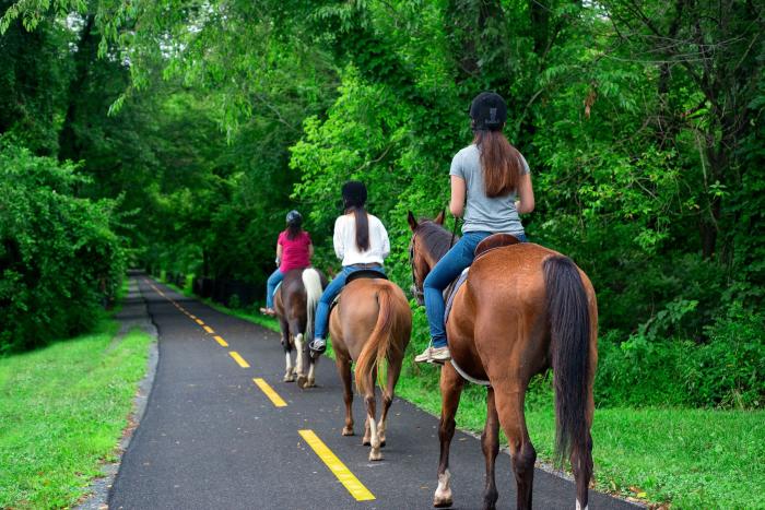 Horse Riding in South Hill Washington