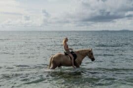 Horse Riding in Southern Hong Kong Island