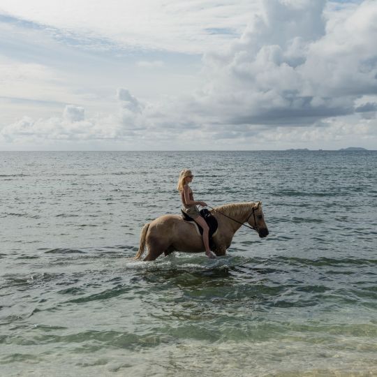 Horse Riding in Southern Hong Kong Island