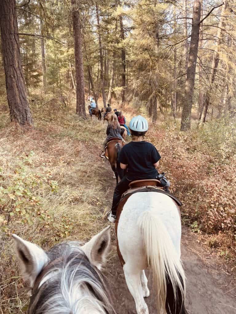 Horse Riding in Spokane Washington