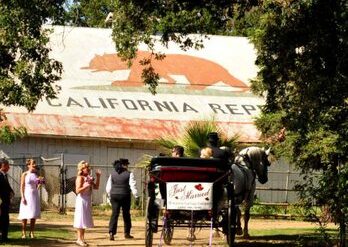 Horse Riding in Stockton California