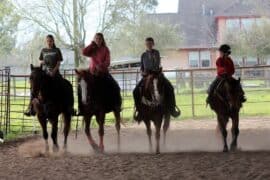 Horse Riding in Sugar Land City Texas