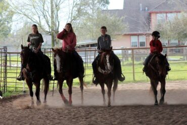 Horse Riding in Sugar Land City Texas