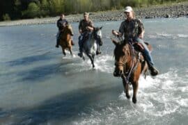 Horse Riding in Tacoma Washington