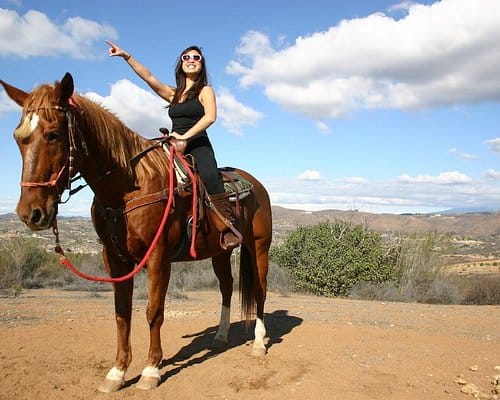 Horse Riding in Temecula California