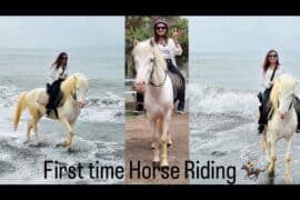 Horse Riding in Toa Payoh