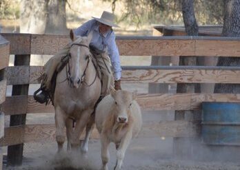 Horse Riding in Torrance California