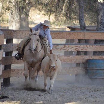 Horse Riding in Torrance California