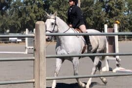 Horse Riding in Vacaville California