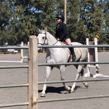 Horse Riding in Vacaville California