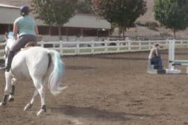 Horse Riding in Vallejo California