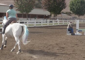 Horse Riding in Vallejo California