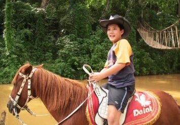 Horse Riding in Westminster California