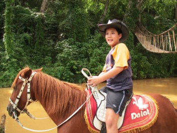 Horse Riding in Westminster California