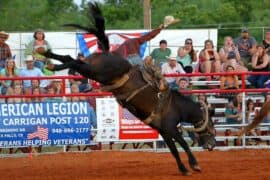 Horse Riding in Wichita Falls Texas