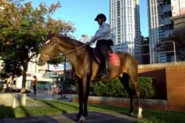 Horse Riding in Yishun