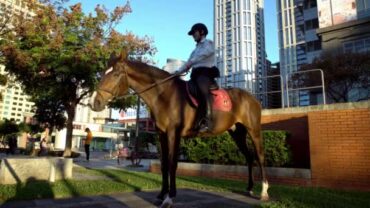 Horse Riding in Yishun