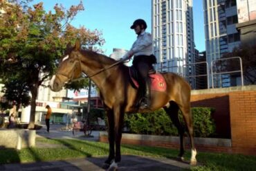 Horse Riding in Yishun