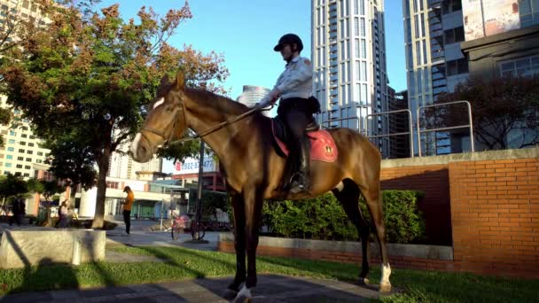 Horse Riding in Yishun