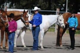 Horse Riding in Yuba City California