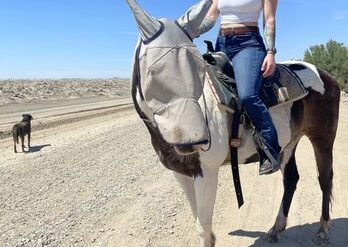 Horse Riding in Yuma Arizona